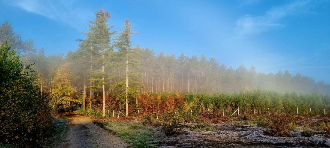 Domek Triftberg Chojna Exteriér fotografie