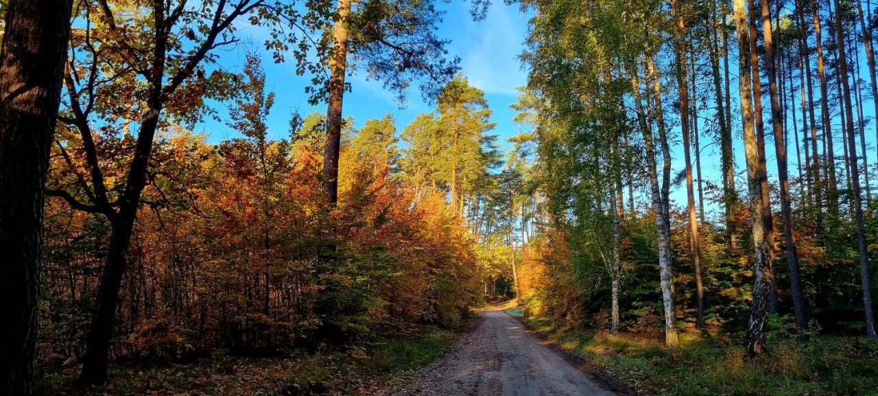 Domek Triftberg Chojna Exteriér fotografie